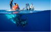 submersible alvin