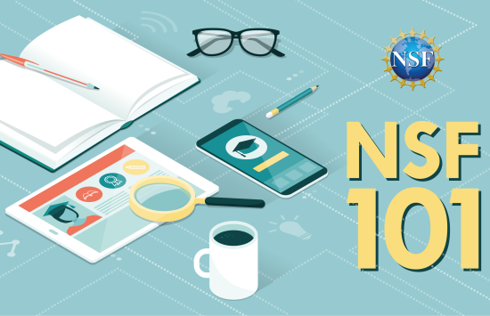 NSF 101 image